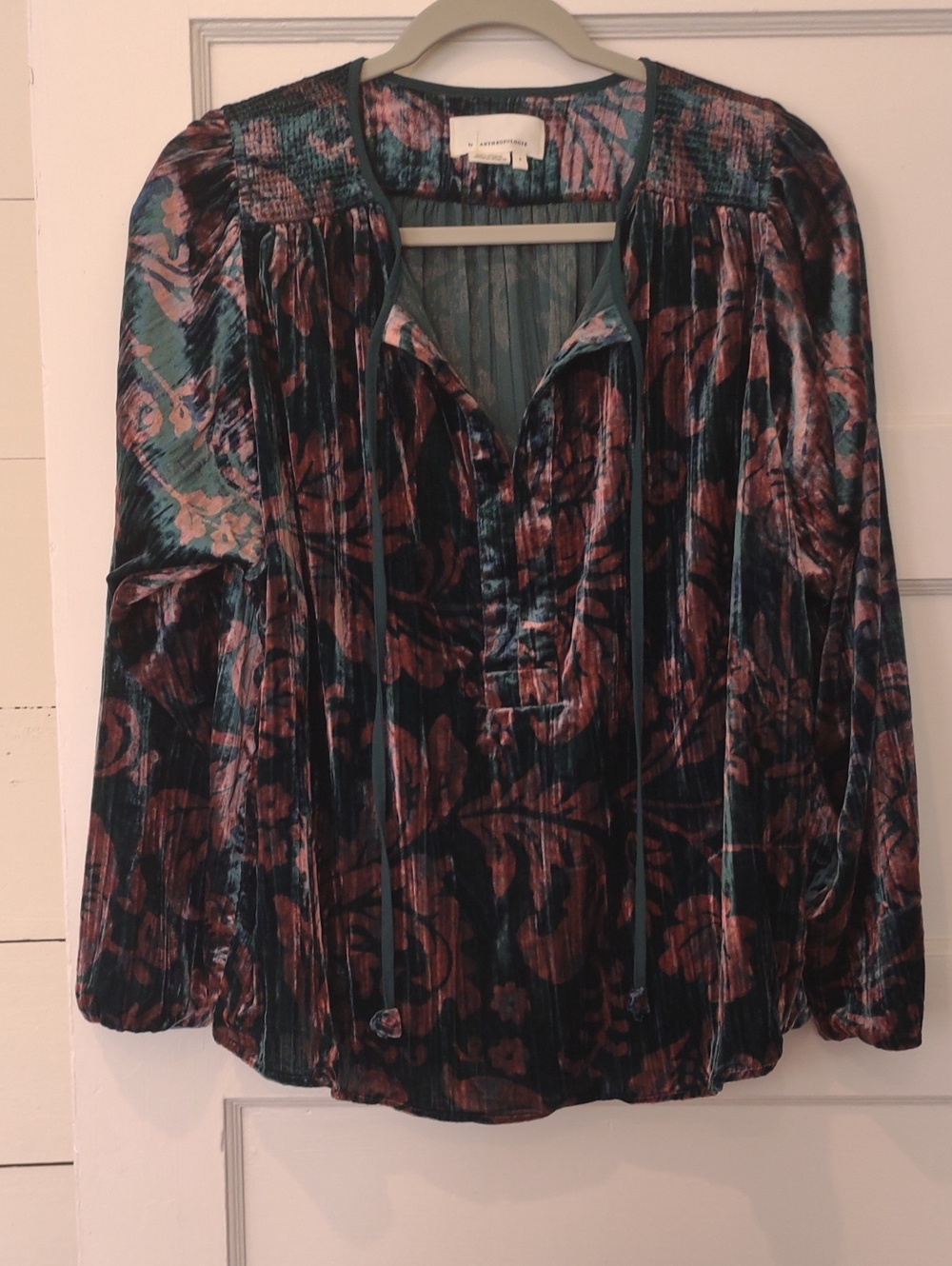 Anthropologie Teal and Rust Velvet Floral Peasant Blouse